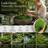 Light Green Faux Moss Micro Scene Material 3 Pack 100g