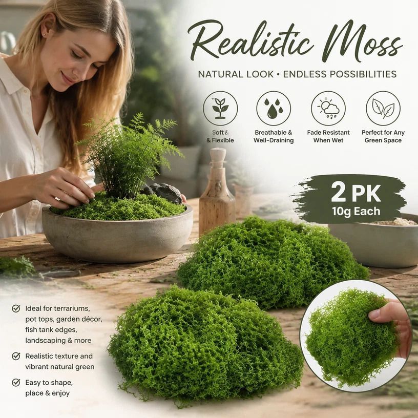 Light Green Mini Preserved String Moss Bonsai Filler Set of 2 Bags 10g