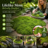 Light Green Bulk Preserved Moss Terrarium Landscape Kit Set of 2 Bags 200g