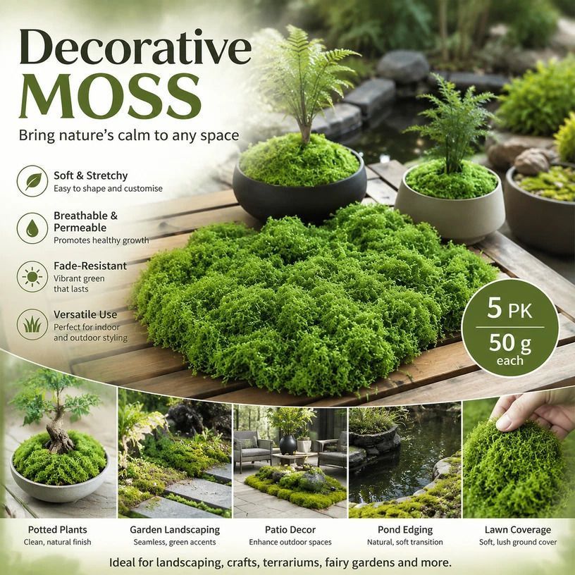 Light Green Preserved Thread Moss Micro Landscape Supply 5 Pack 50g