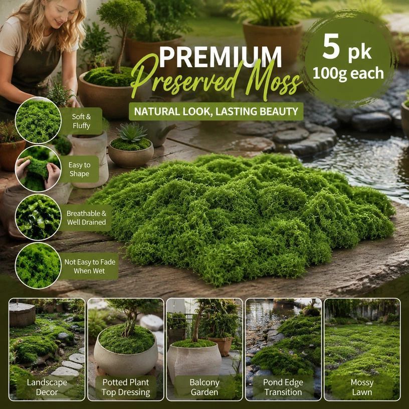 Dark Green Preserved String Moss Indoor Plant Decor Set of 5 Bags 100g