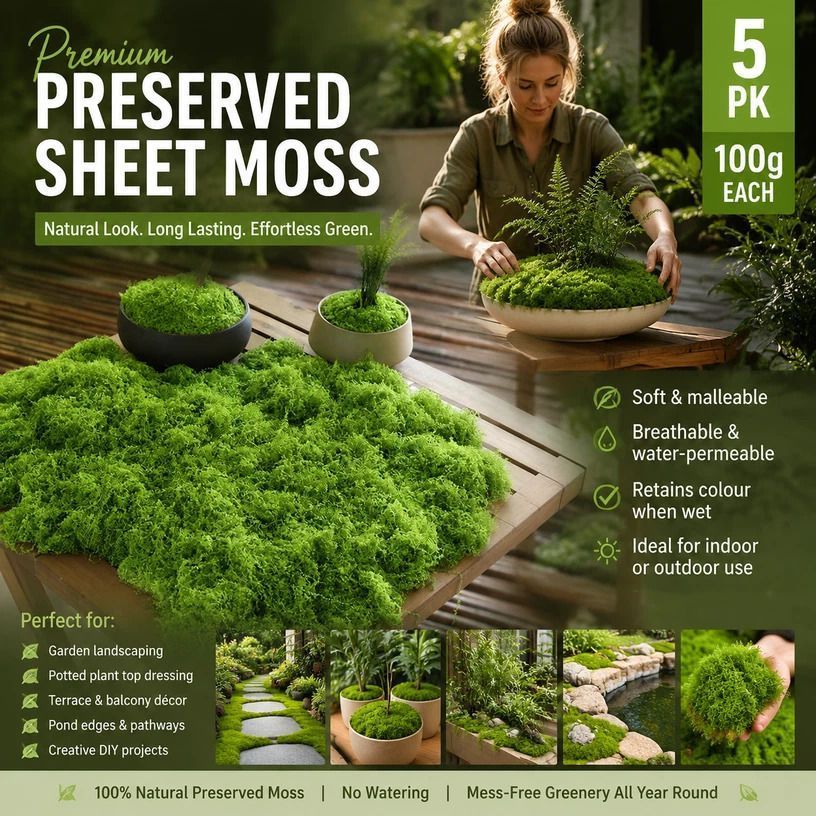 Light Green Faux Moss Bonsai Top Dressing Craft Kit 5 Pack 100g