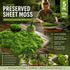 Light Green Faux Moss Bonsai Top Dressing Craft Kit 5 Pack 100g