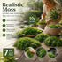 Dark Green Tiny Artificial Thread Moss Terrarium DIY Craft Supply 7 Pack 10g