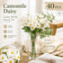 Laid-Back Aussie Lifestyle Fake Chamomile Daisy, Gentle Natural Photo Prop For Home & Cafe 40 pcs