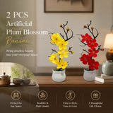 Warm Yellow Pink Wintersweet Jar Bonsai 2 Pack