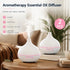 2 Pack Onion Diffuser Pure White + Remote, 24V AU Plug, Home Xmas Pair