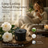 XM-ZS44 Fragrance Refill Pod, Gardenia White Tea, Car Accessory Gift