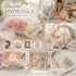 Champagne Gradient Preserved Hydrangea Dried Flower Handcraft Accessory 5g Box