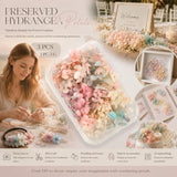 Champagne Gradient Preserved Hydrangea Dried Craft Flower Pack of 3 Boxes 5g