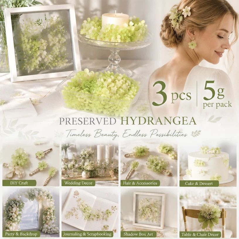 Pale Green Champagne Preserved Hydrangea Gradient DIY Accessory Kit 3 Pack