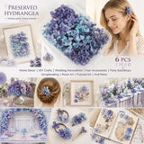 Blue Purple Shade Preserved Hydrangea Dried Floral Craft Supply Pack of 6 Boxes