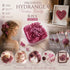 Purple Cloud Gradient Preserved Hydrangea Candle Making Kit 6 Boxes ×5g