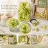 Pale Green Champagne Preserved Hydrangea Resin Making Bulk Supply Pack 12