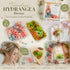Dreamy Tone & Hibiscus Tone Preserved Hydrangea Bouquet Making Craft Supply 2 Pack