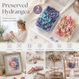 Blue Purple Shade & Taro Purple Gradient Preserved Hydrangea DIY Craft Flower Pack of 2