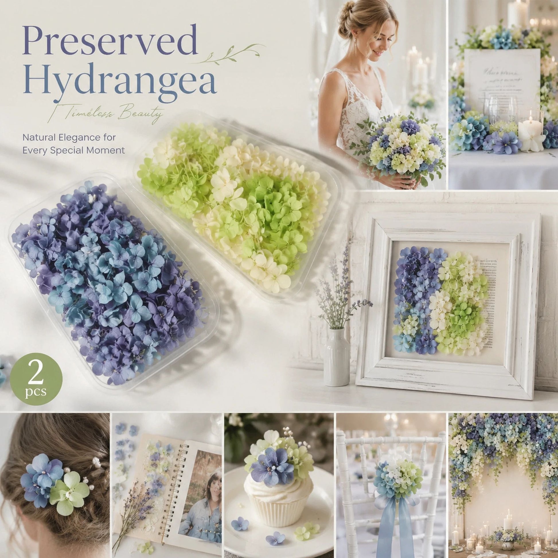 Blue Purple Shade & Pale Green Champagne Preserved Hydrangea Frame Craft Material Set of 2
