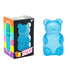 Blue Bear Fidget Toy