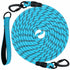 Large Dog Leash Sky Blue 01