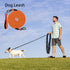 Dog Retractable Leash - Orange, 1.0×10m