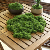 30g Dark Green Artificial Moss-2Pcs