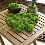 30g Light Green Artificial Moss-2Pcs