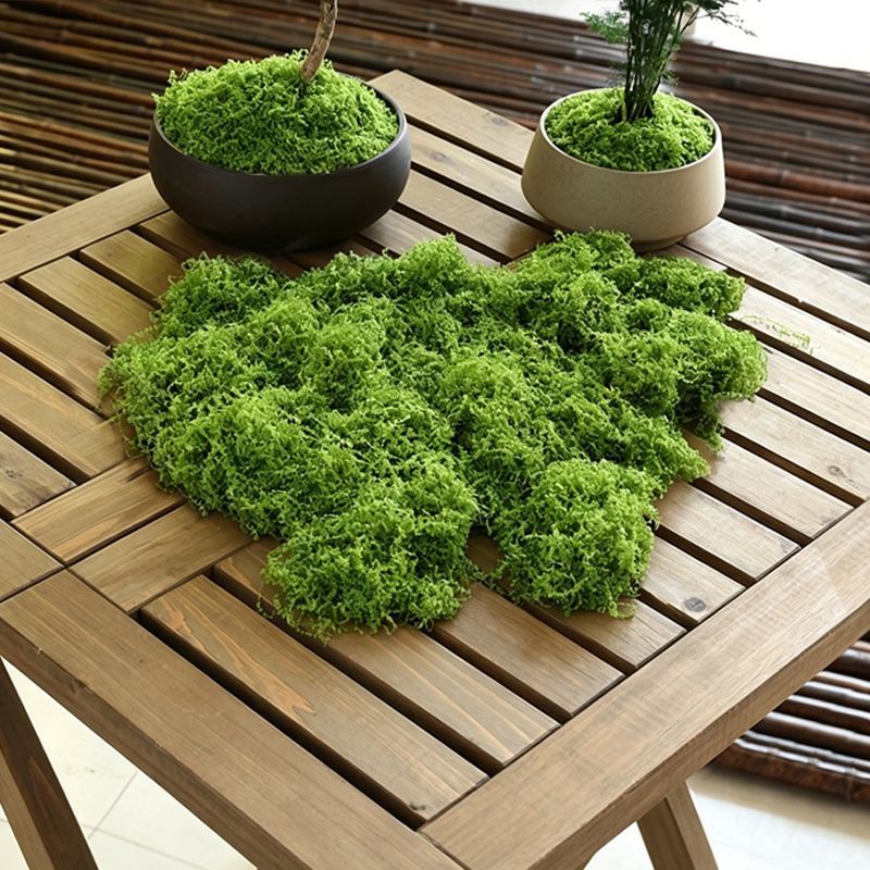 30g Light Green Artificial Moss-2Pcs