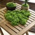 30g Light Green Artificial Moss-2Pcs