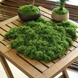 50g Dark Green Artificial Moss