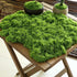 100g Light Green Artificial Moss