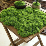 200g Light Green Artificial Moss
