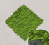 Light Green Artificial Moss 50×50cm