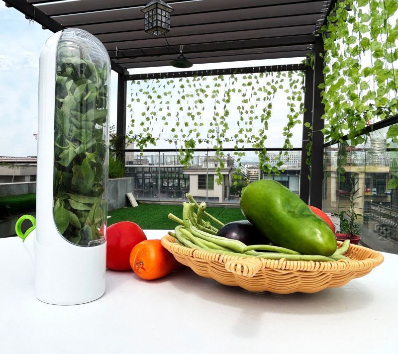 4Pcs Herb & Vegetable Fresh Storage Containers-White