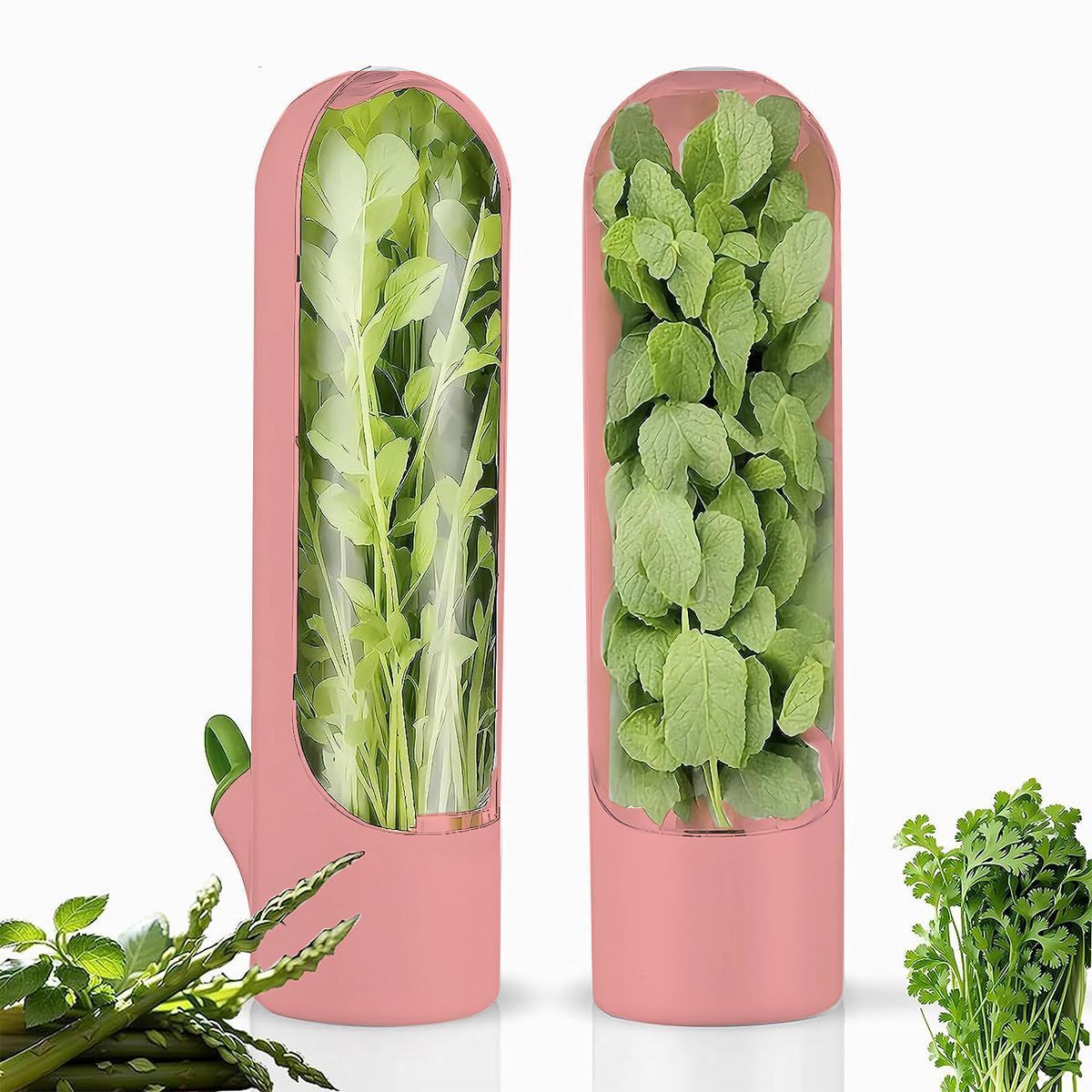 4Pcs Herb & Vegetable Fresh Storage Containers-Pink