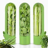 4Pcs Herb & Vegetable Fresh Storage Containers-green