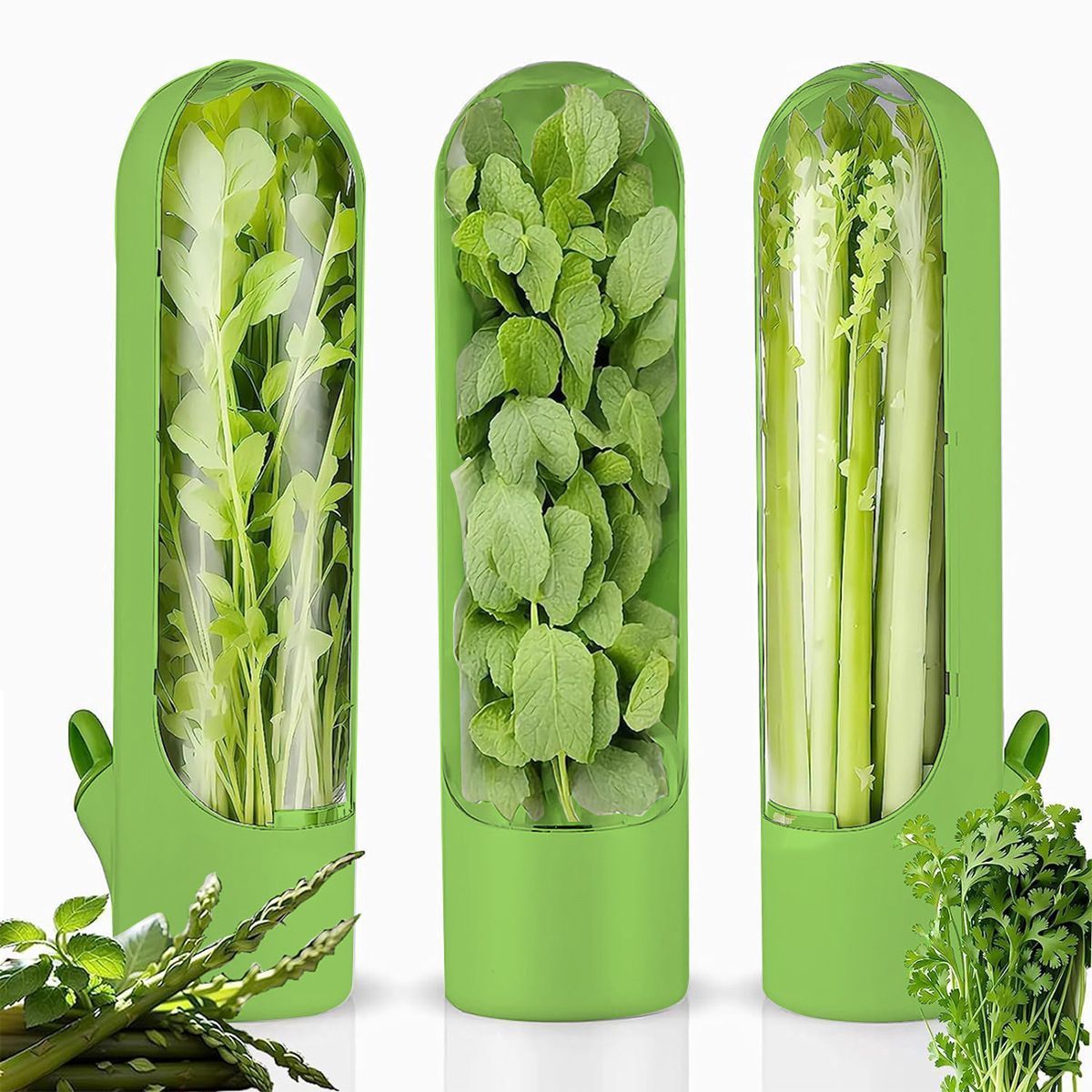 4Pcs Herb & Vegetable Fresh Storage Containers-green