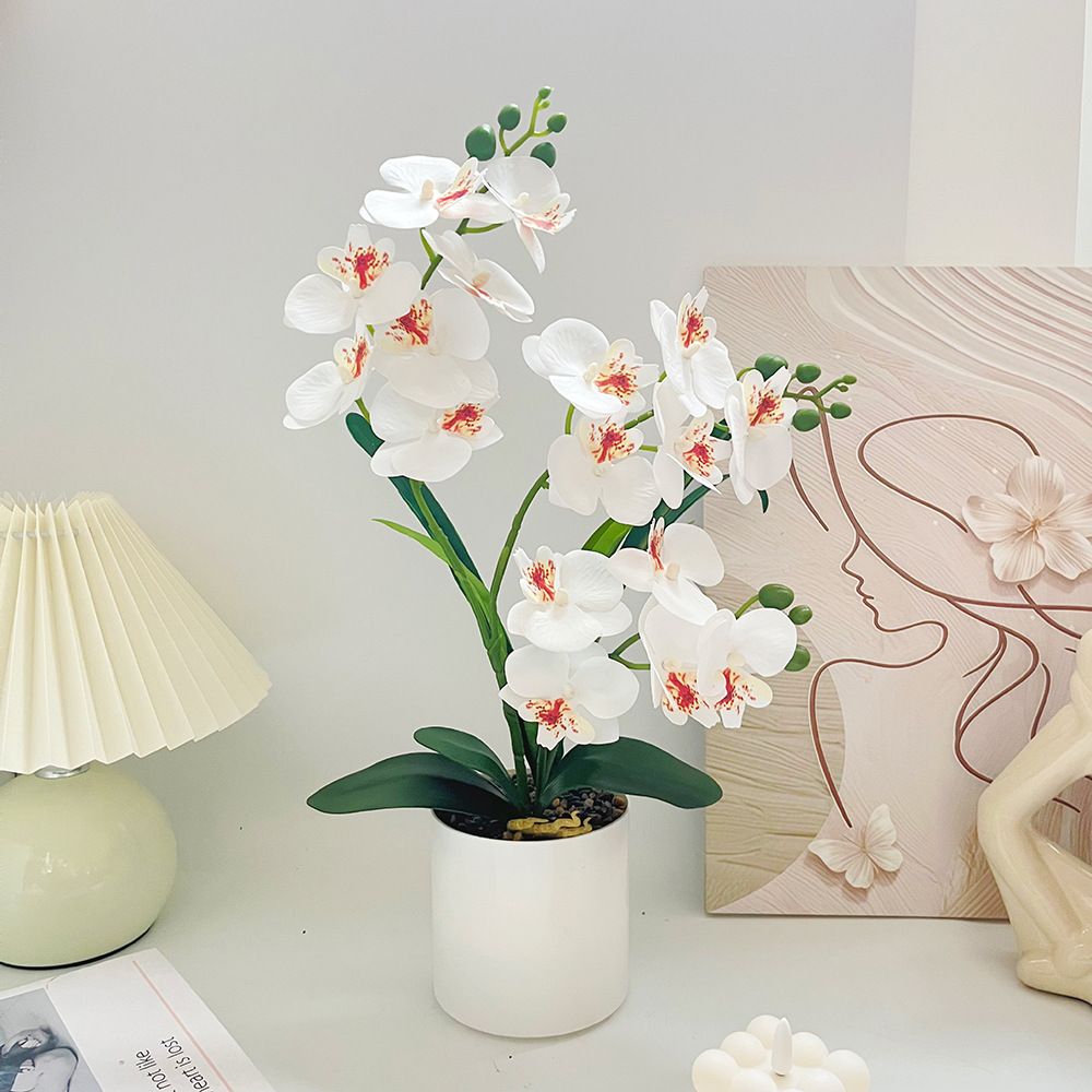Artificial Moth Orchid Potted Plant, Bringing Natural Vitality into Your Home; Flowers Never Wilt, Staying Evergreen All Year Round./white