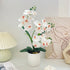 Artificial Moth Orchid Potted Plant, Bringing Natural Vitality into Your Home; Flowers Never Wilt, Staying Evergreen All Year Round./white
