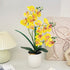 Artificial Moth Orchid Potted Plant, Bringing Natural Vitality into Your Home; Flowers Never Wilt, Staying Evergreen All Year Round./YELLOW
