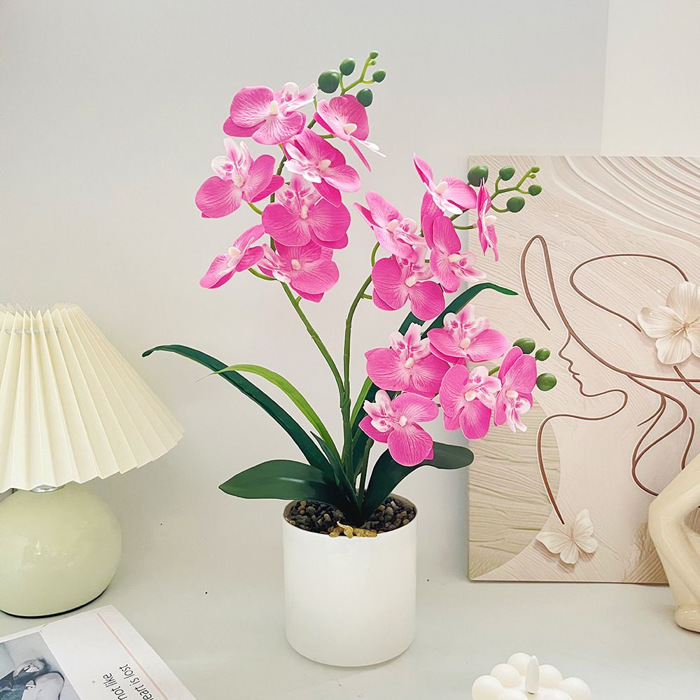 Artificial Moth Orchid Potted Plant, Bringing Natural Vitality into Your Home; Flowers Never Wilt, Staying Evergreen All Year Round./pink