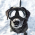 Large Dog Goggles | Windproof, Snowproof, UV Protection, Flexible Frame Sunglasses for Outdoor Adventure(black)