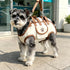 Oxford Fabric Pet Three-in-One Travel System: Horizontal Back Design Protects Spine, Four-Leg Separation, Three Uses in One: Kennel, Backpack, and Leash/M size [recommended weight 8-13 kg]