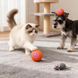 mart Interactive Rolling Pet Ball – Automatic Self-Moving Cat & Small Dog Toy, Bite-Resistant Rechargeable Boredom Buster 52mm(orange)