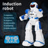 Intelligent Induction Robot(BLUE): Your Child&