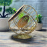 1pc Unique Coffee Capsule Basket Iron Coffee Pod Holder with Slanted Design for Home Bar and Cafe Display.golden