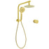 WELS Brushed Gold Round Twin Shower Head Set Stainless Steel Handheld Gooseneck Arm Wall Mixer