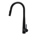 Round Matt Black Pull Out Kitchen Sink Tap Laundry Basin Mixer 2 Way Spout Set