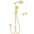WELS Brushed Gold 2in1 Shower 8" Round Head Set 3 Mode Handheld Rose Sliding Rail Twin Taps