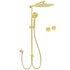 WELS Brushed Gold Rain Shower 12" Head 3 Mode Handheld Rose Sliding Rail Round Taps Set
