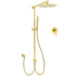 WELS Brushed Gold 2in1 Large Round Shower 12" Rain Head Stainless Steel Handheld Sliding Rail Mixer Set